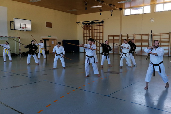Karate und Kobudo Lehrgang